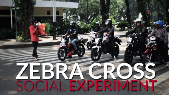 Zebra Cross (Social Experiment) - VectroID